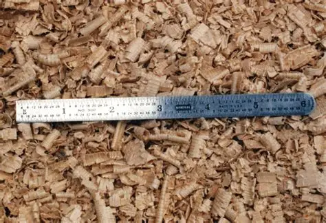 douglas fir