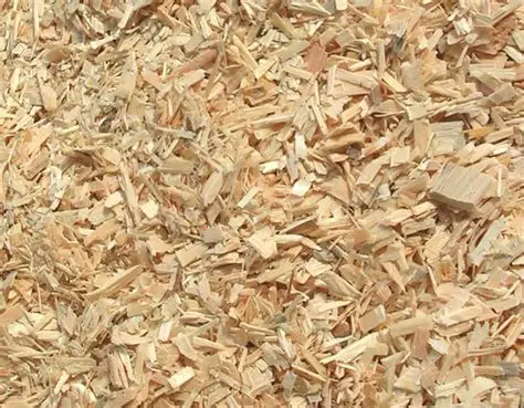 pine wood chips