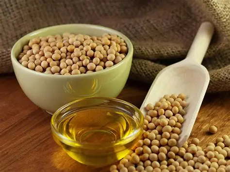 soybean oil 1